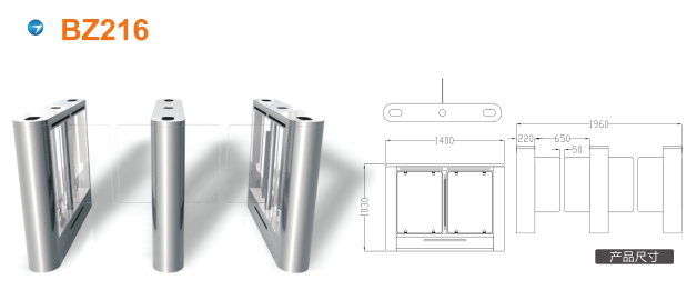 广州摆闸BZ216